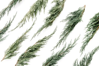 Ardıç dalları desen