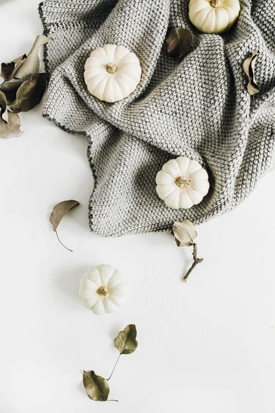 Calabazas blancas sobre cuadros grises — Foto de Stock