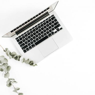 Laptop ve okaliptüs dalları