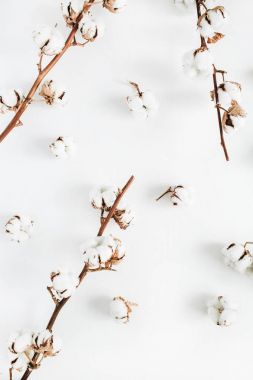 Pamuk dalları koleksiyonu