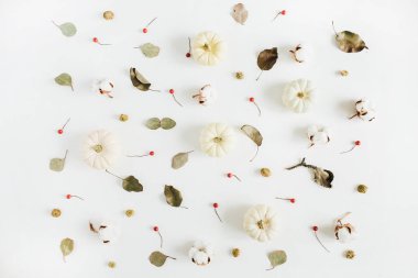 Beyaz pumpkins, kırmızı meyveler ve okaliptüs dalları