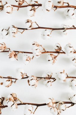 Pamuk dalları koleksiyonu