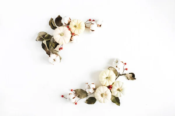 Beyaz kabaklar, kırmızı meyveler ve okaliptüs dalları çerçeve yapılmış — Stok fotoğraf
