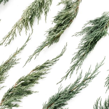 Ardıç dalları desen