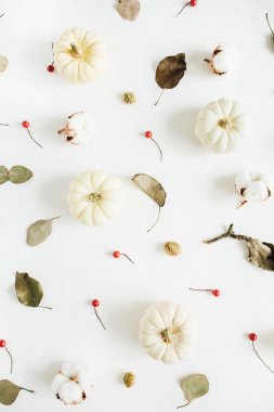 Beyaz arka plan üzerinde bej kabaklar