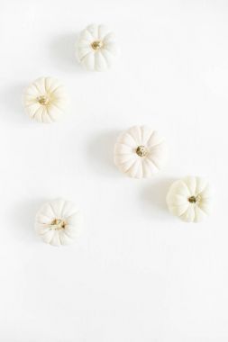 Beyaz arka plan üzerinde bej kabaklar