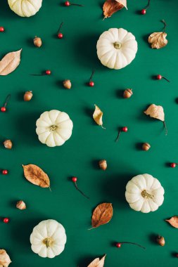 Beyaz pumpkins, kırmızı meyveler ve okaliptüs dalları