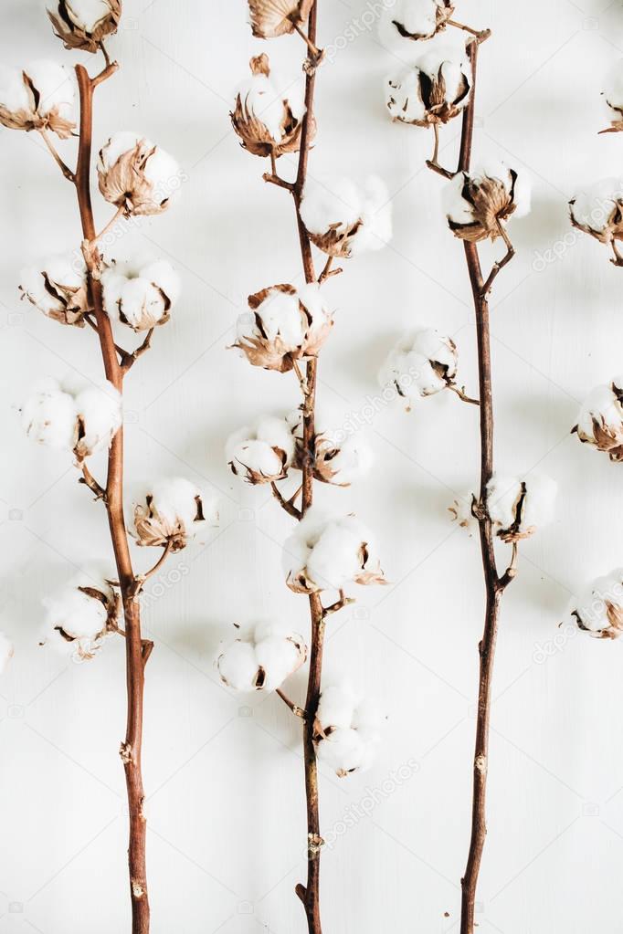 Cotton branches collection