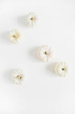 Beyaz sonbahar balkabağı. Sonbahar kavramı. Düz yatıyordu, en iyi görünüm. Minimalist arka plan.