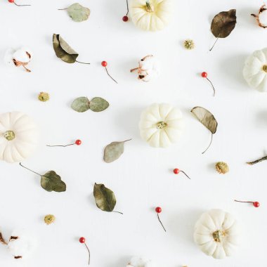 Beyaz pumpkins, kırmızı meyveler ve okaliptüs dalları. Sonbahar sonbahar en az kavramı. Düz yatıyordu, en iyi görünüm. Noel arka plan.