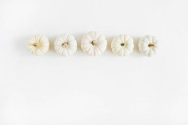 Beyaz balkabağı. Sonbahar minimalist arka plan. Düz yatıyordu, en iyi görünümü.