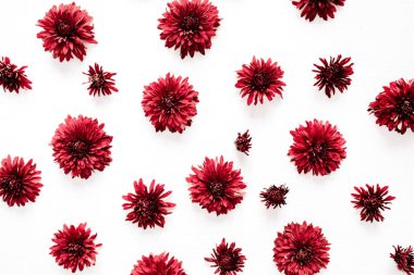 Kırmızı çiçek tomurcukları desen. Düz yatıyordu, en iyi görünüm. Valentine'nın arka plan. Çiçekler kavramı.