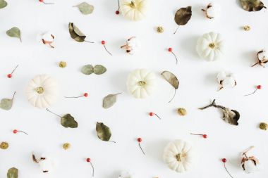 Beyaz pumpkins, kırmızı meyveler ve okaliptüs dalları. Sonbahar sonbahar en az kavramı. Düz yatıyordu, en iyi görünümü.