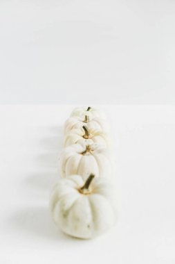 Beyaz arka plan üzerinde beyaz balkabağı. Sonbahar soluk stil kavramı. Düz yatıyordu, en iyi görünümü.