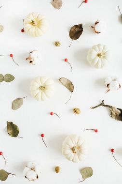 Beyaz pumpkins, kırmızı meyveler ve okaliptüs dalları. Düz yatıyordu, en iyi görünüm. Noel arka plan.