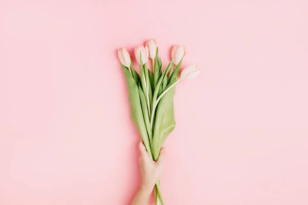 Жінка Тримає Рожеві Квіти Тюльпанів Рожевому Тлі Пласка Клумба Вид — стокове фото