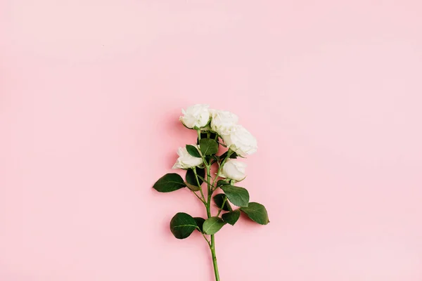 White Rose Flowers Bouquet Pastel Pink Background Flat Lay Top — Stock Photo, Image