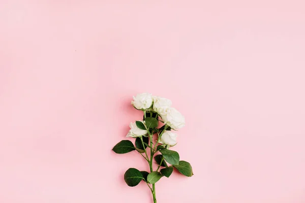 Weiße Rosenblüten Zweigen Auf Pastellrosa Hintergrund Flache Lage Draufsicht Minimale — Stockfoto