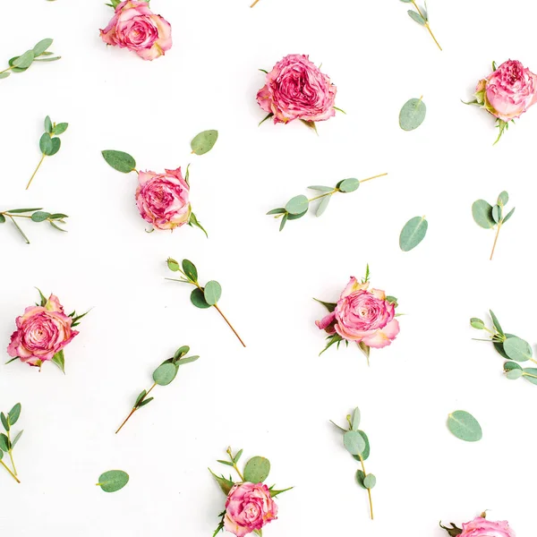Blommönster Rött Rosa Blomknoppar Och Eukalyptus Grenar Vit Bakgrund Fett — Stockfoto