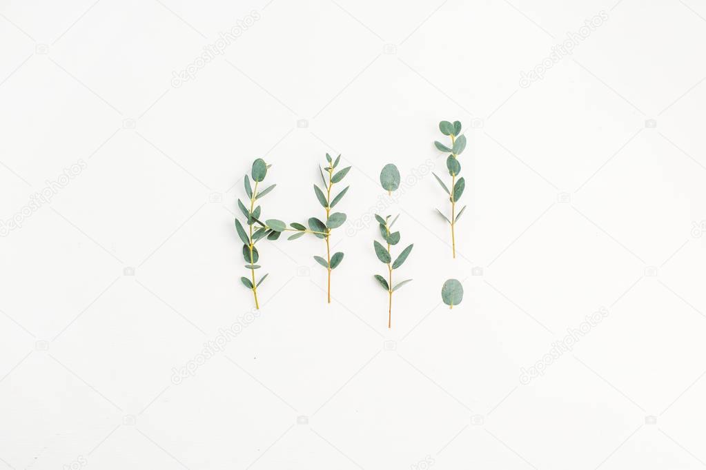 Word Hi made of eucalyptus branches isolated on white background. Flat lay, top view minimal composition.