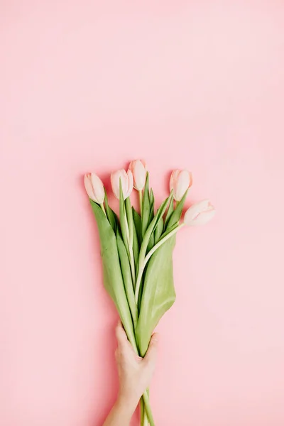 Mano Mujer Sostiene Flores Tulipán Rosa Sobre Fondo Rosa Plano — Foto de Stock