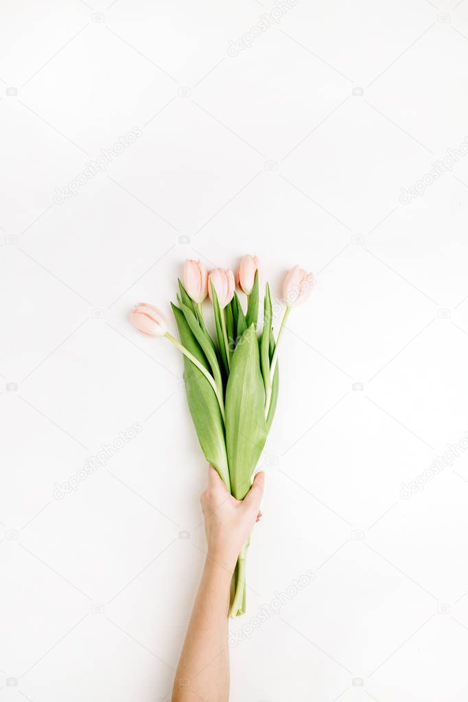 Female hand holding pink tulip flowers on white background. Flat lay, top view festive spring concept.
