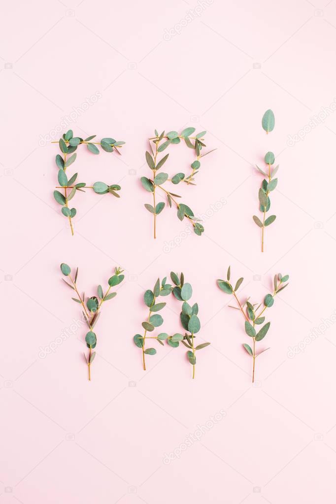 Urban word Friyay. The last day of the work week concept made of eucalyptus branch on white background. Flat lay, top view Friday composition.