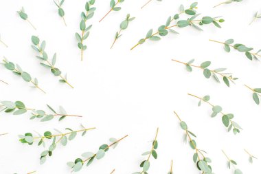 Çerçeve beyaz arka plan üzerinde metin için yer ile okaliptüs dal deseninin. Düz yatıyordu, en iyi görünümü kahraman başlığı kavramı.