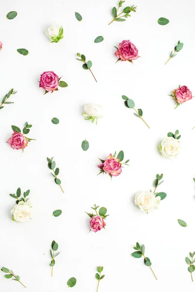 Blumenmuster Aus Roten Und Weißen Rosenblütenknospen Und Eukalyptuszweigen Auf Weißem — Stockfoto