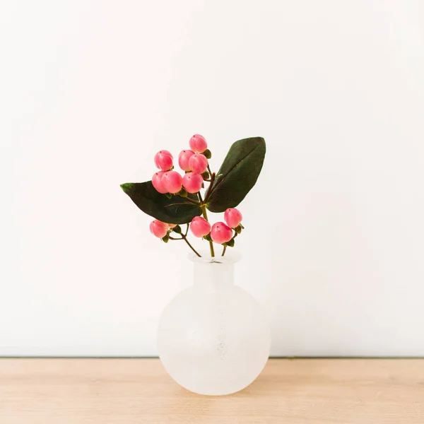 オトギリソウの花白い背景の上の花瓶 — ストック写真