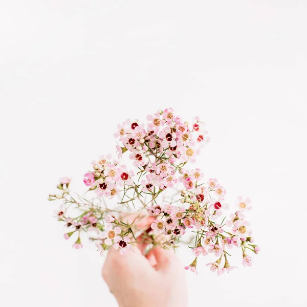 女性手は 白い背景の上の野生の花の枝を保持します フラット横たわっていた トップ ビュー春の花背景 — ストック写真