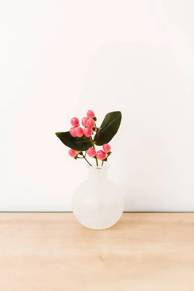 Hypericum Virág Váza Fehér Háttér — Stock Fotó