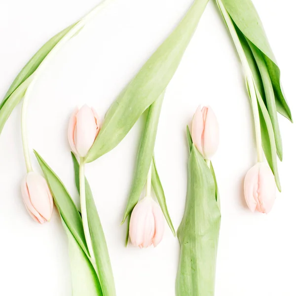 Розовый Тюльпан Цветы Изолированы Белом Фоне Квартира Лежала Вид Сверху — стоковое фото