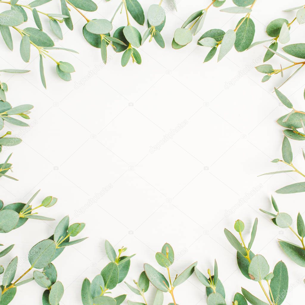 Frame of eucalyptus branch pattern with space for text on white background. Flat lay, top view hero header concept.