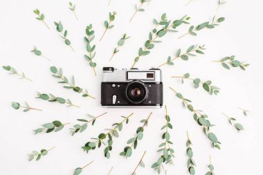 Retro fotoğraf kamera çerçeve ile düz yatıyordu, en iyi görünüm çok az bileşimi okaliptüs şube beyaz arka plan üzerinde. Fotoğrafçı kavramı.