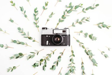Okaliptüs Şubesi beyaz arka plan üzerinde en az düzeyde kompozisyon çerçevesindeki retro fotoğraf makinesi ile. Flatlay, üstten görünüm fotoğrafçı kavramı.