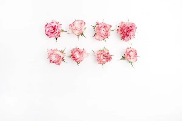 Bourgeons Fleur Rose Rouge Sur Fond Blanc Couché Plat Vue — Photo