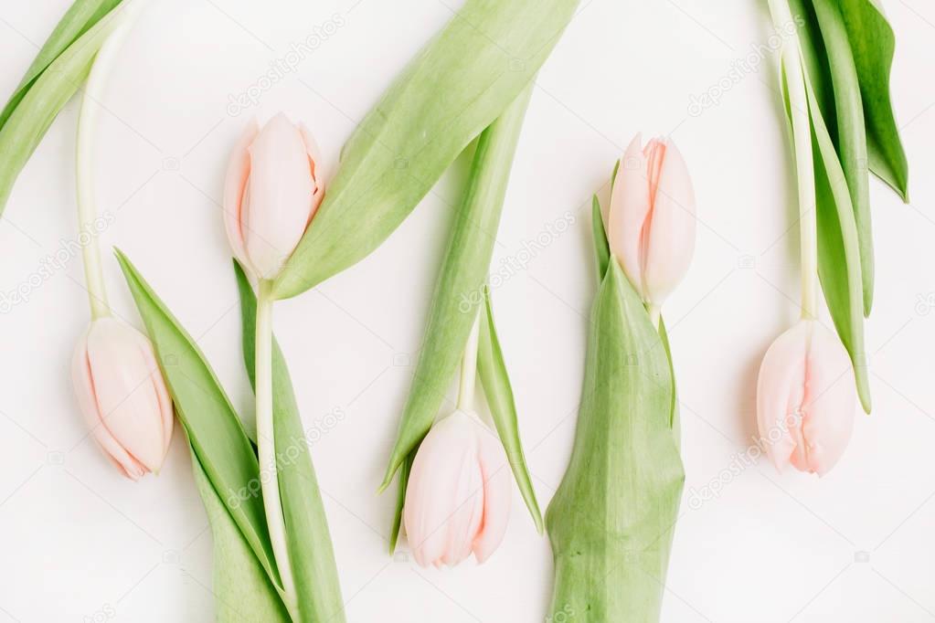 Pink tulip flowers on white background. Flat lay, top view. Pale fashion flatlay.