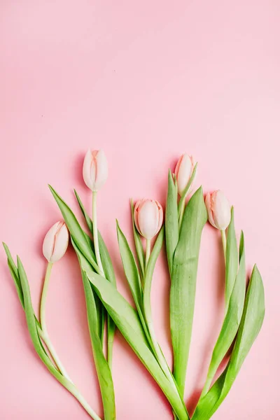 Pastelowe Tulipan Różowy Bukiet Kwiatów Różowym Tle Widok Płaski Świeckich — Zdjęcie stockowe