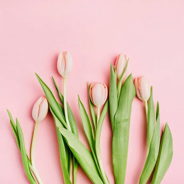 Pastelově Růžový Tulipán Květy Kytice Růžovém Pozadí Pohled Ploché Ležel — Stock fotografie