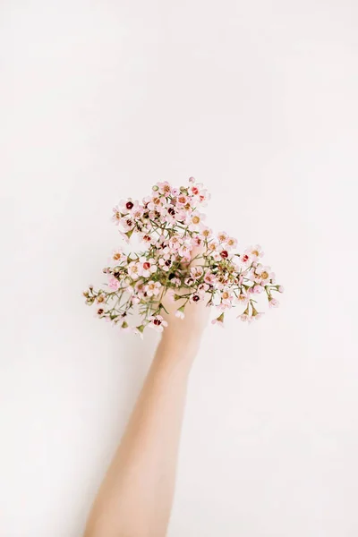 꽃입니다 — 스톡 사진