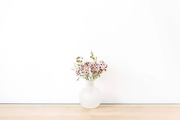 Fleurs Sauvages Devant Mur Blanc Minimal — Photo