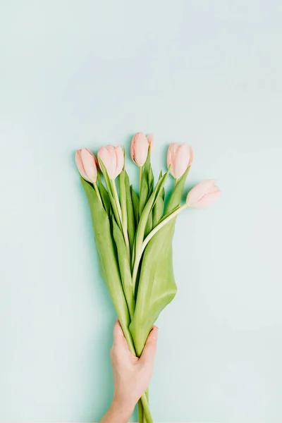 Kéz Tart Rózsaszín Tulipán Virág Kék Háttér Lapos Feküdt Felső — Stock Fotó