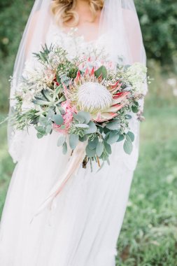 Güzellik düğün buket protea çiçekler, succulents ve okaliptüs şube gelinin elinde.