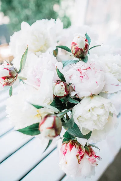 Ramo Flores Peonía Blanco Rosa Pálido — Foto de Stock