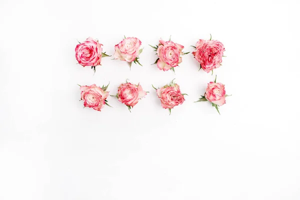 Rose Rose Boutons Floraux Sur Fond Blanc Couché Plat Vue — Photo