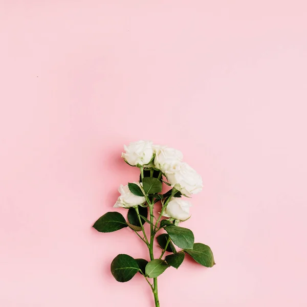 White Rose Flowers Branch Pastel Pink Background Flat Lay Top — Stock Photo, Image