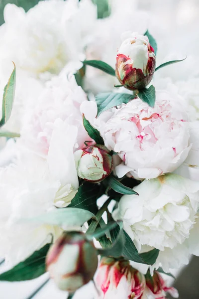 Zbliżenie Bukiet Kwiaty Białe Blado Różowa Piwonia — Zdjęcie stockowe