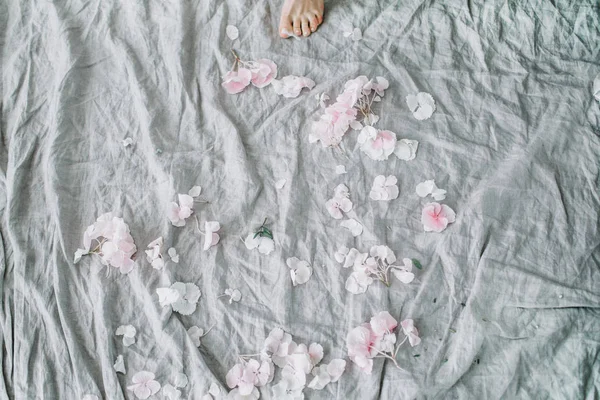 Бледно Розовые Лепестки Цветов Сером Одеяле Женской Ноге Элегантный Праздничный — стоковое фото