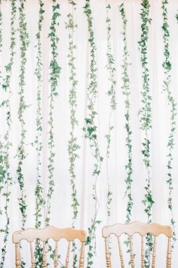 Düğün süslemeleri. Yeşil yaprakları ve iki sandalye.